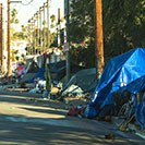 West Hollywood Homelessness Wild Tents Camp